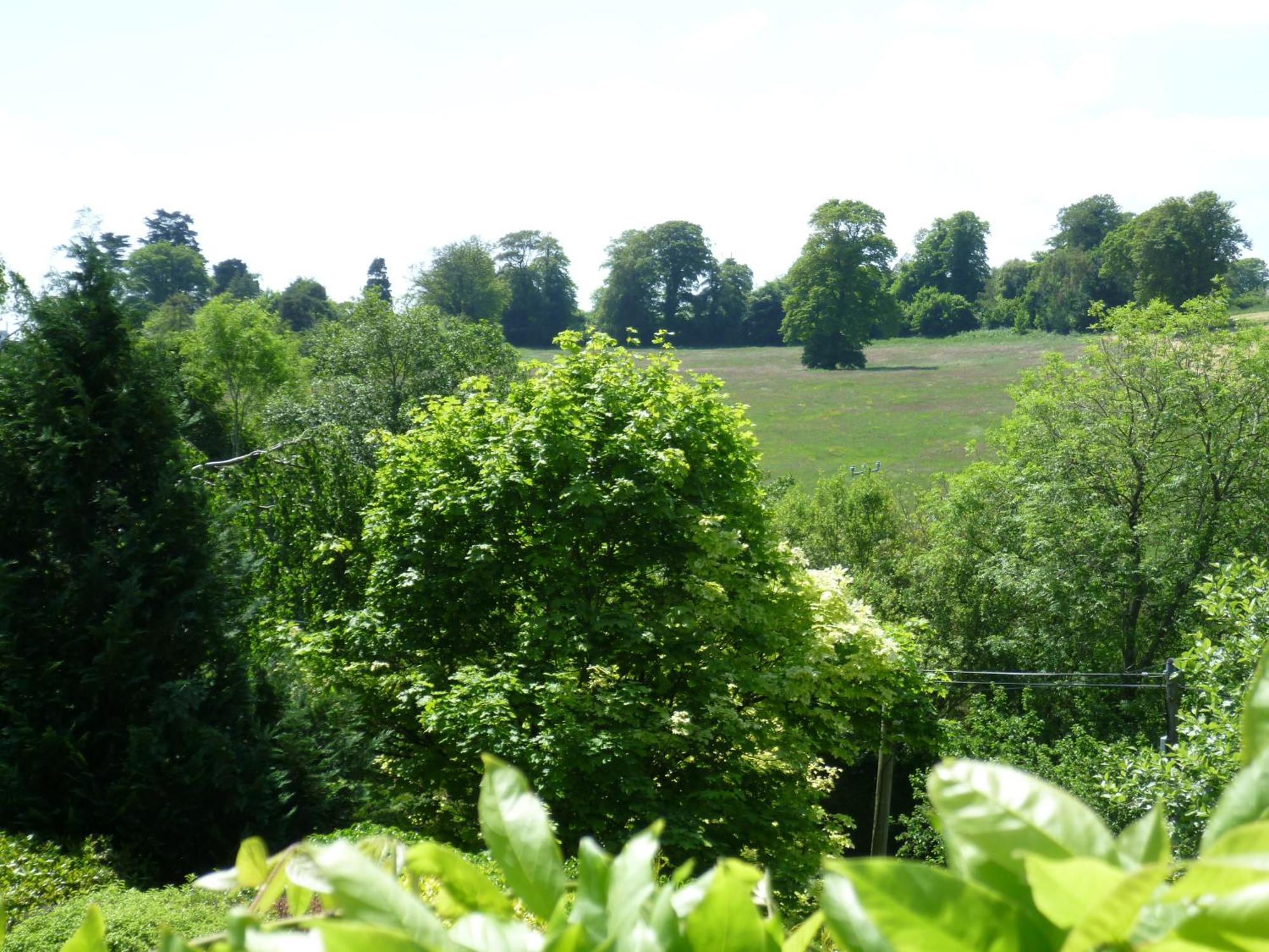 Diamond Hill Country House วอเตอร์ฟอร์ด ภายนอก รูปภาพ
