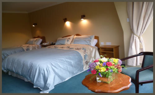 Diamond Hill Country House วอเตอร์ฟอร์ด ภายนอก รูปภาพ